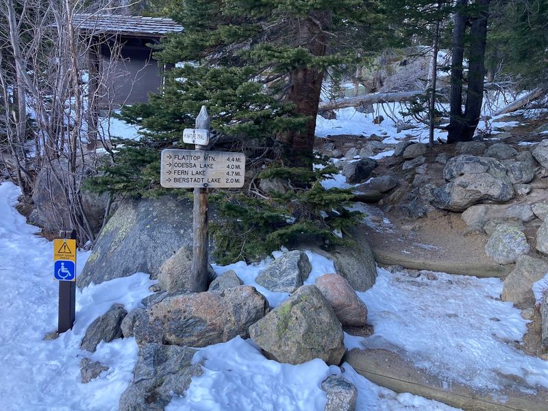 Timed Entry Reservations You Cannot Skip