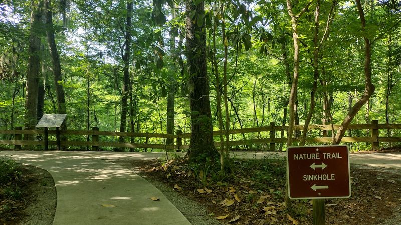 This hidden Florida sinkhole park feels so unexpected it almost passes for something out of another state 12 Handicapped Accessible Facilities and Easy Parking
