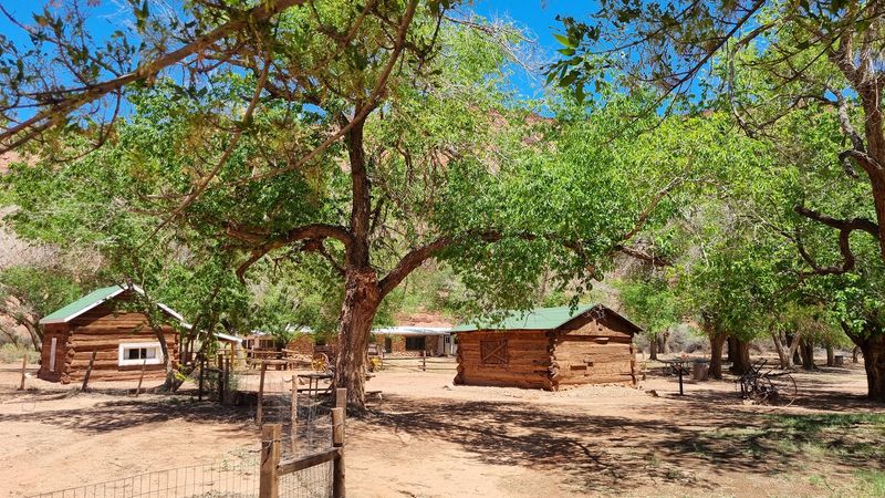 The Shaded Picnic Area