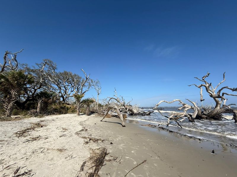 Getting There: Parking Tips and Trail Access