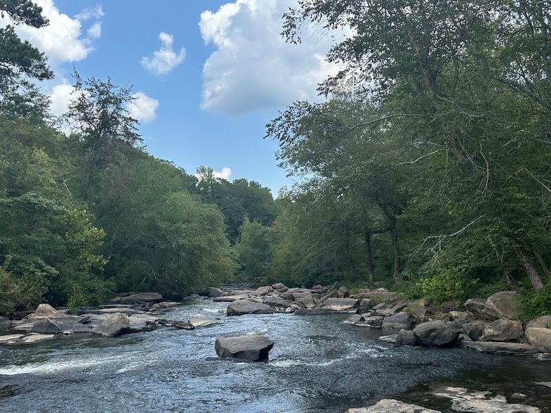 Wildlife and Nature Spotting