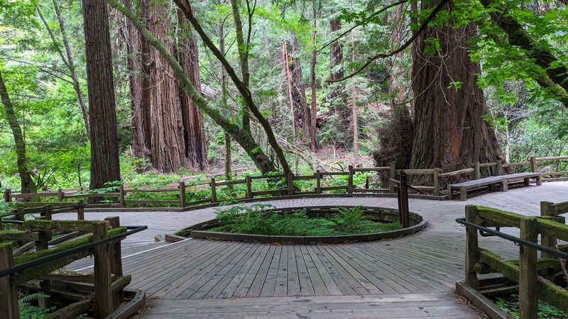 Accessibility That Actually Includes Everyone