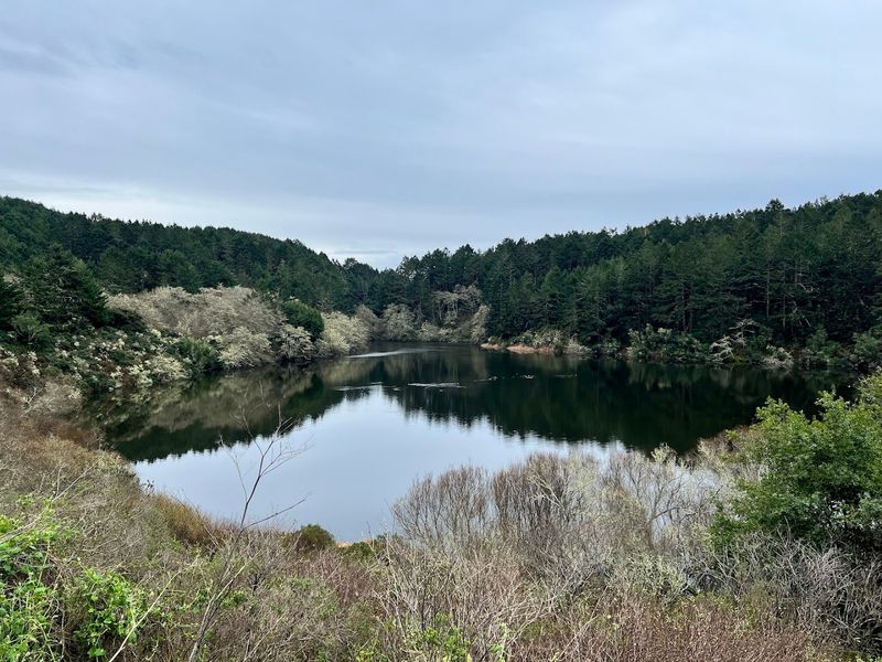 Wildlife and Nature You Might Spot Along the Trail