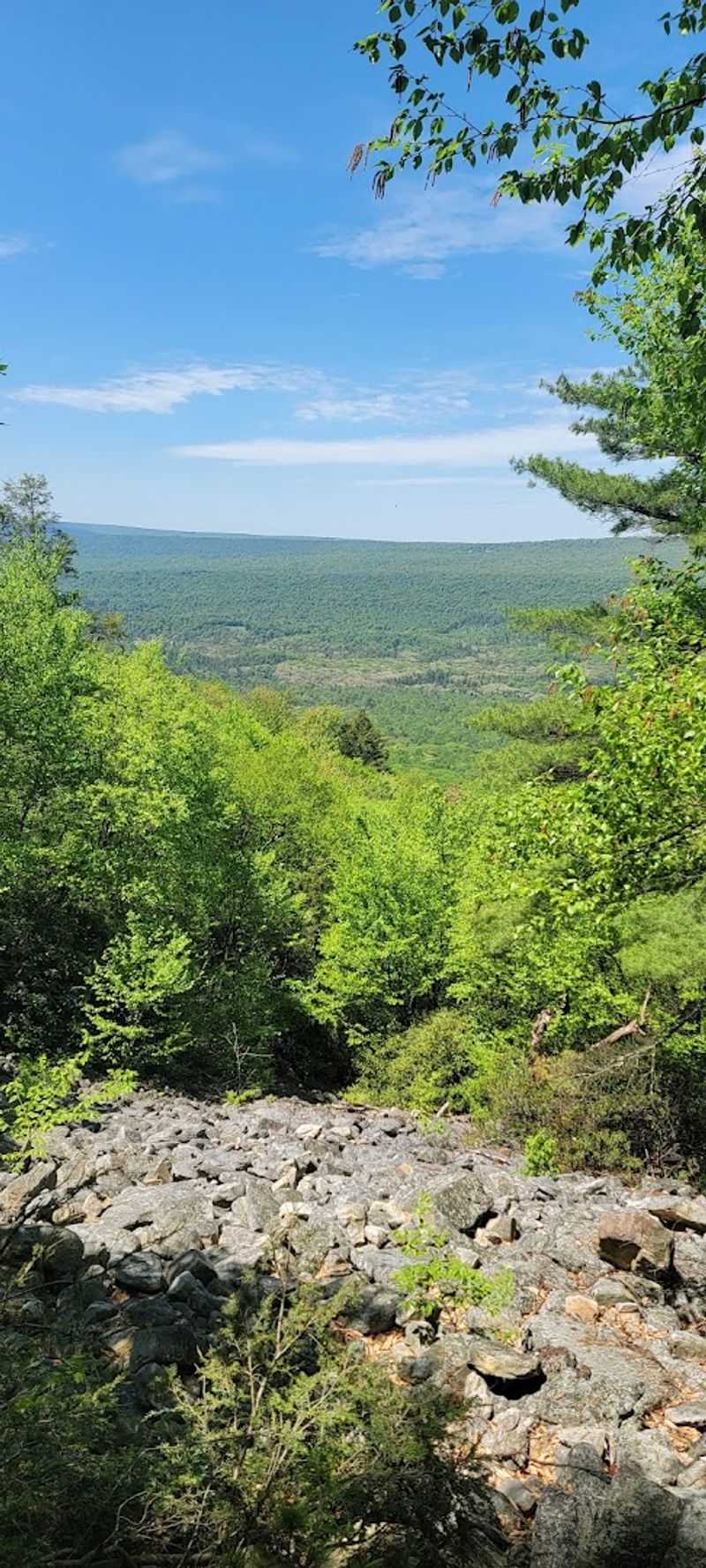 Connecting to Longer Trails in Rothrock State Forest