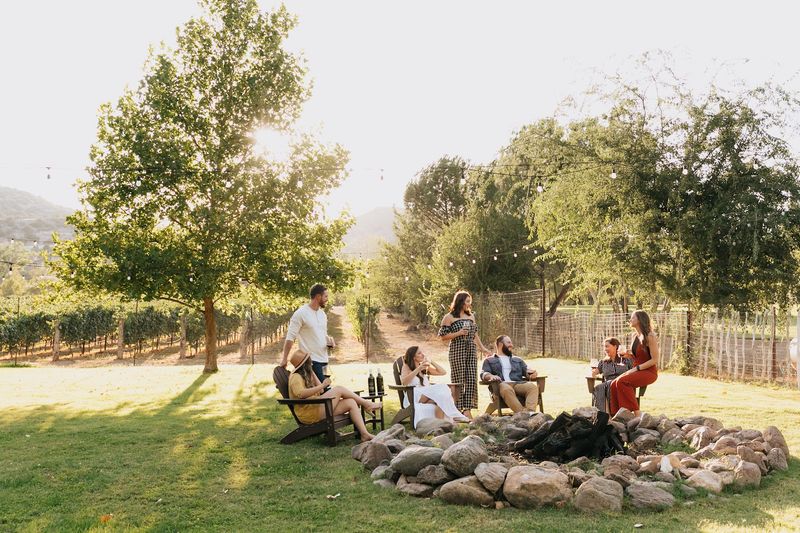 Nestor the Donkey - The Ranch's Four-Legged Celebrity