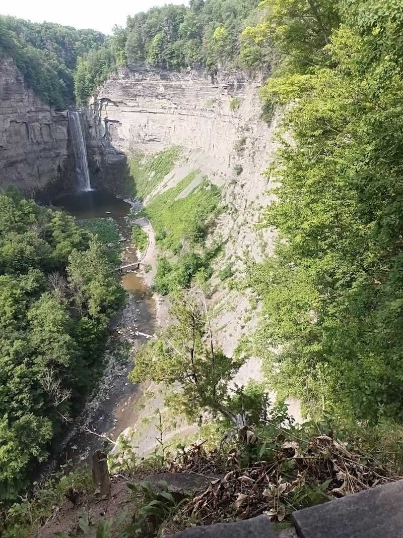 The Gorge's Dramatic Limestone Walls
