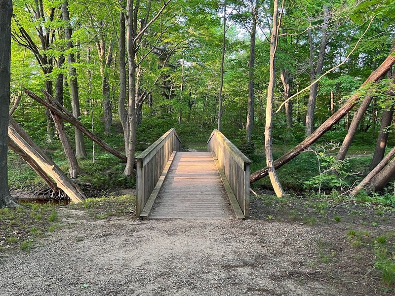 Wooded Nature Trails Through the Park