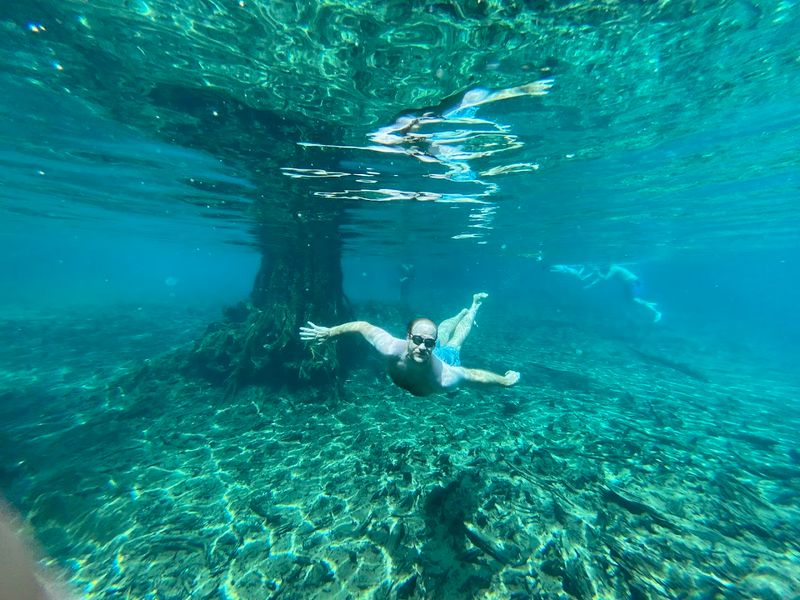 Snorkeling Visibility So Good It Feels Like Cheating