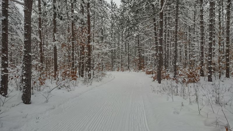 Fat Biking and Cross-Country Skiing on Groomed Trails