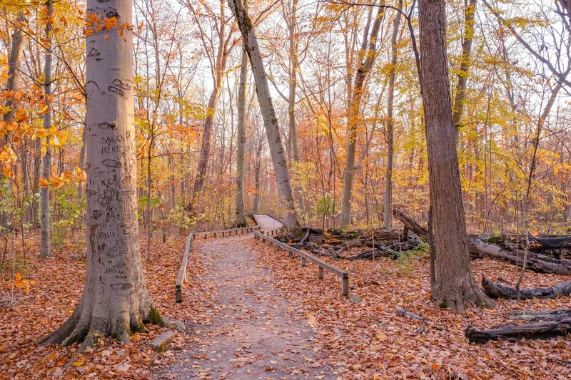 Year-Round Beauty in Every Season