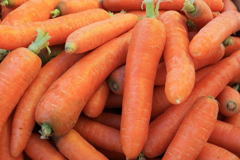 Fresh carrots