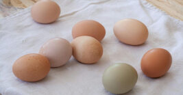 You Might Be Surprised by These 17 Foods Still Sitting in Your Kitchen