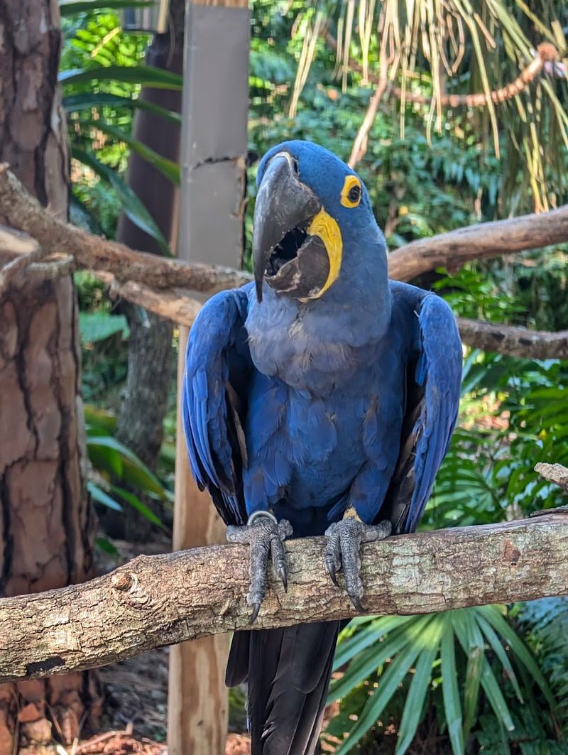 Kids Water Play Area and Splash Pad
