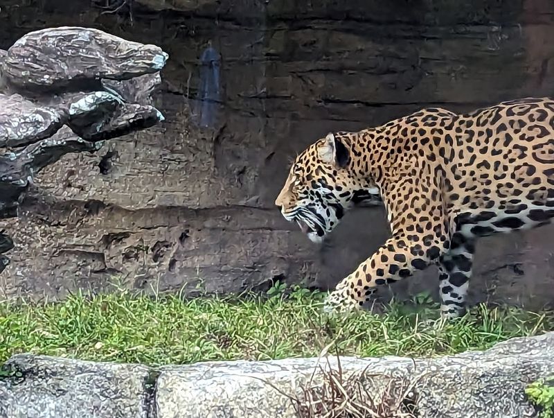 Jacksonville Zoo and Botanical Gardens - Jacksonville, Florida