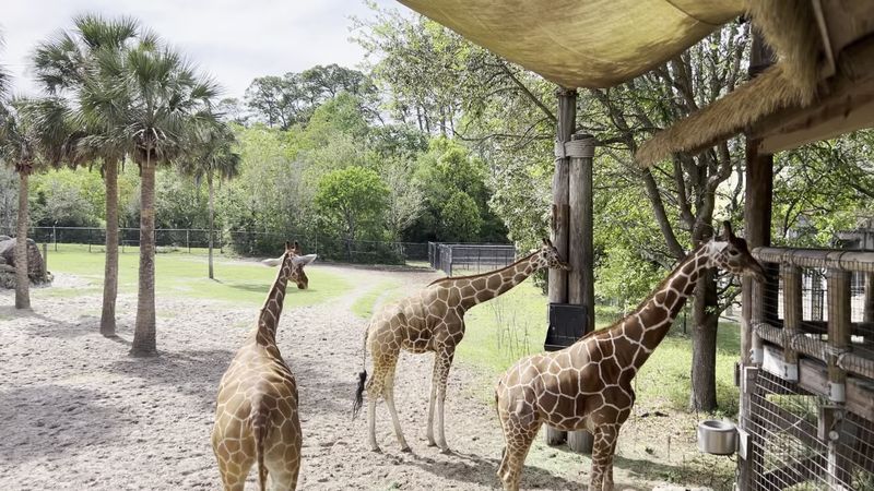 Jacksonville Zoo and Botanical Gardens - Jacksonville, Florida