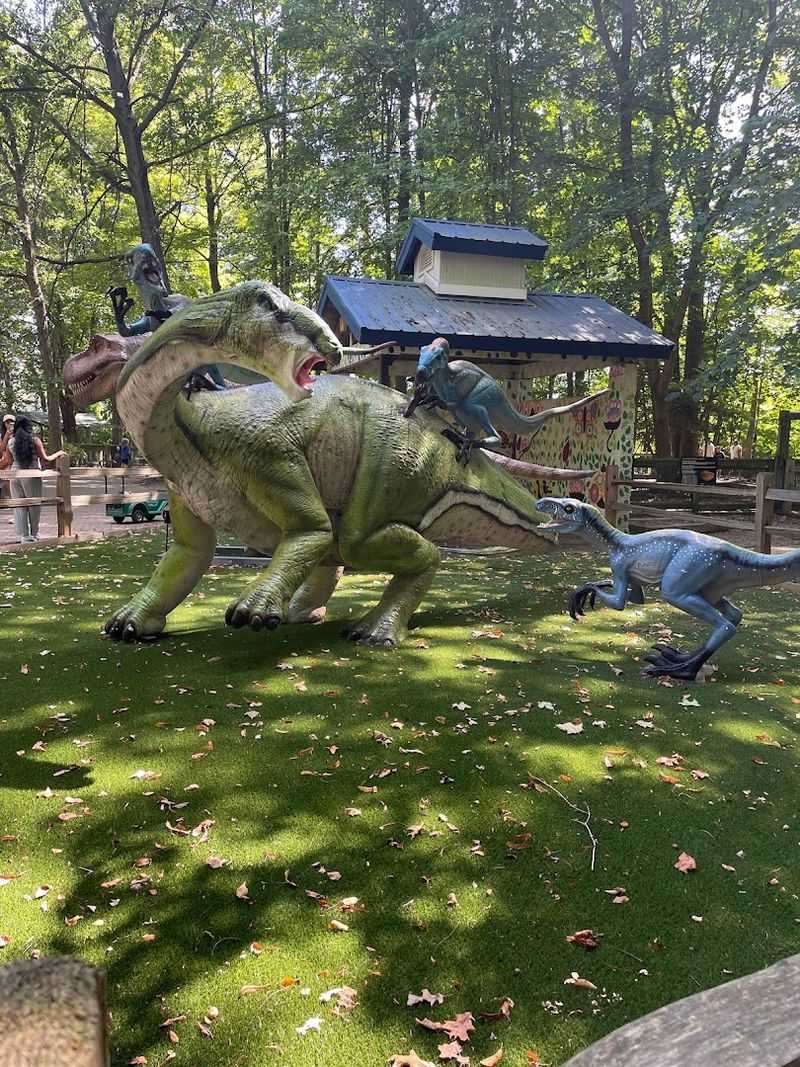 Accessibility and Mobility Scooter Rentals