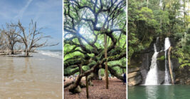 13 Gorgeous Places In South Carolina That Locals Wish Had Stayed A Secret