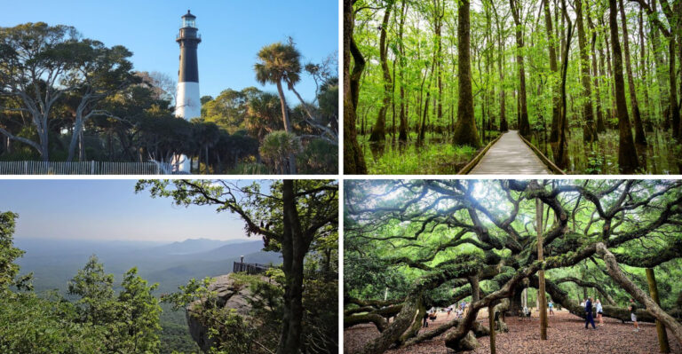 15 South Carolina Day Trips That Are Beautiful Without Costing Much