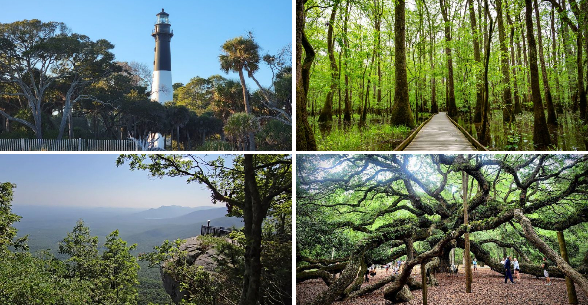 15 South Carolina Day Trips That Are Beautiful Without Costing Much