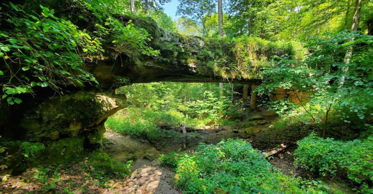 15 beautiful places in Illinois that most travelers completely overlook