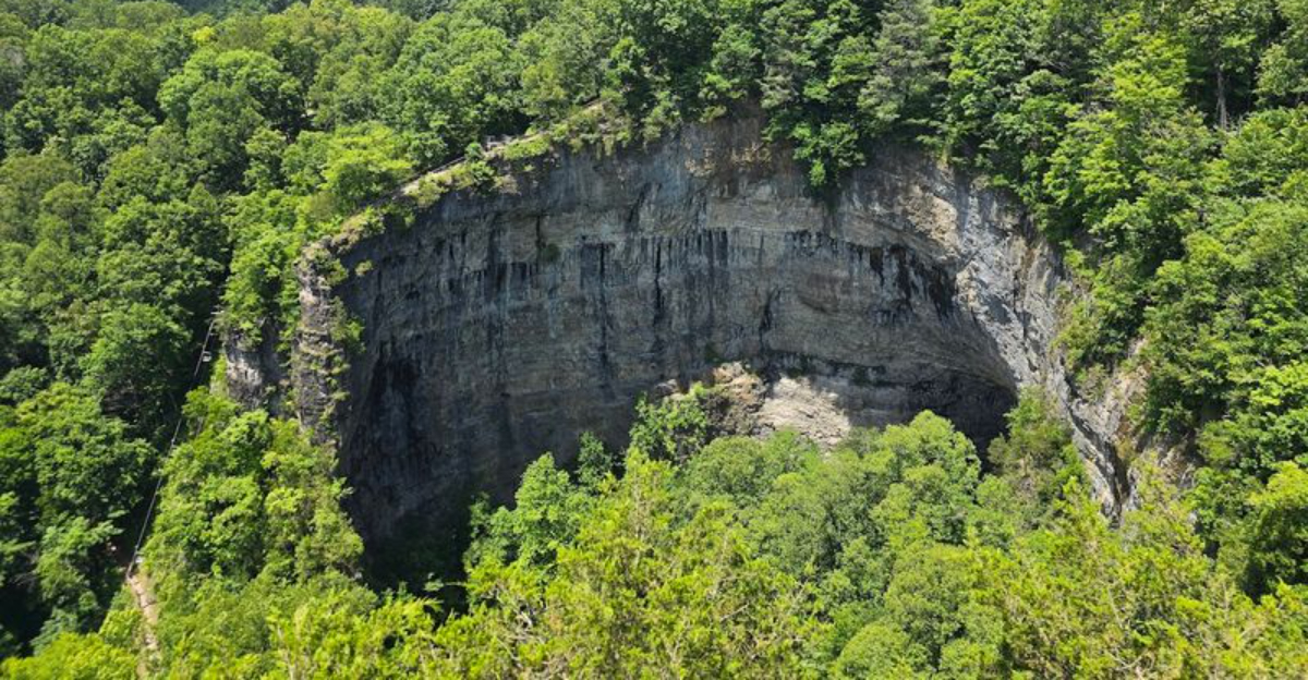 15 dreamy Virginia state parks locals secretly hope stay under the radar