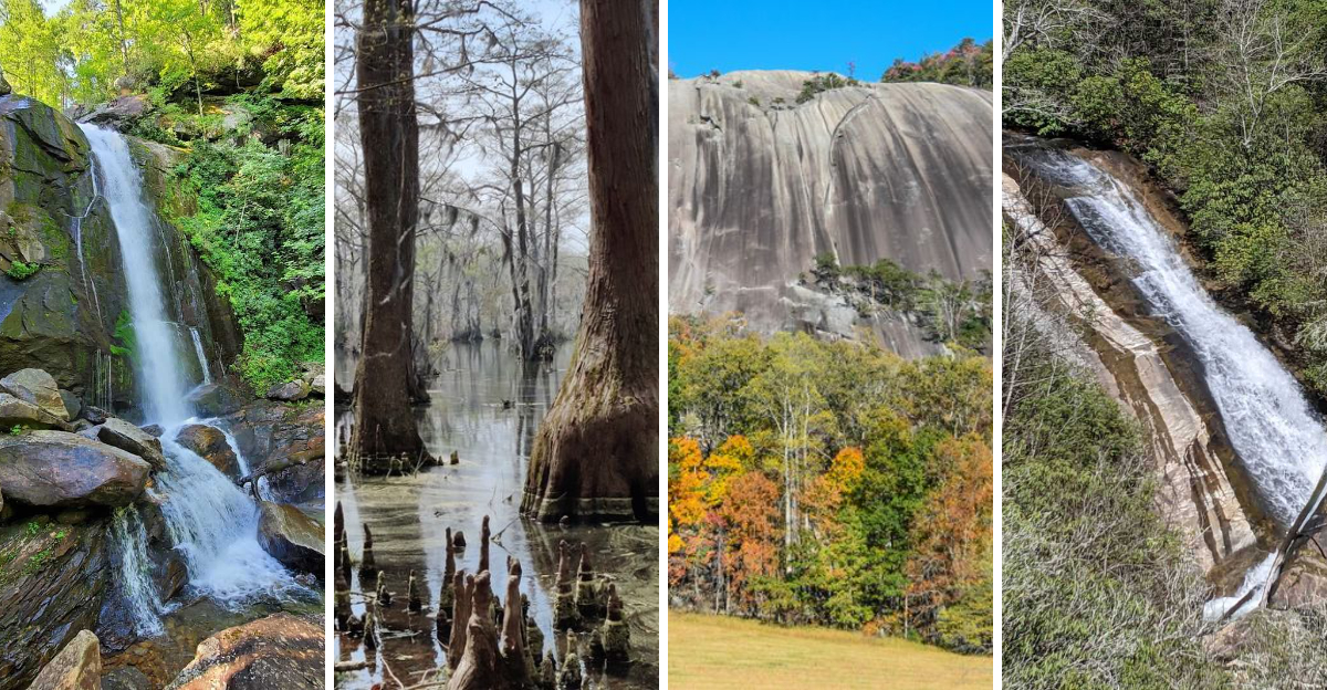 15 stunning state parks in North Carolina that remain hidden from most travelers