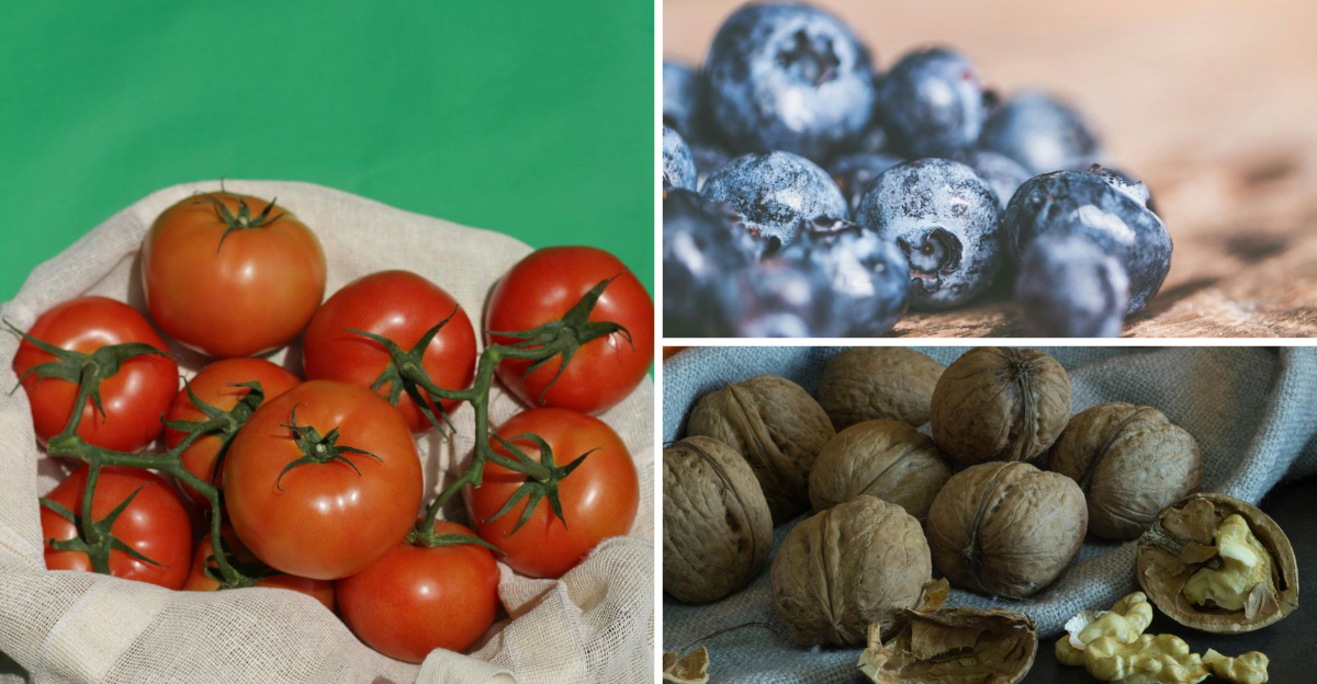 20 Brain Boosting Foods Experts Say May Support Focus and Memory as You Get Older