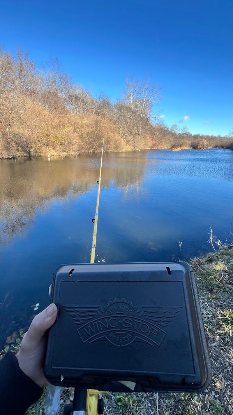 22 Ponds Perfect for Fishing Enthusiasts