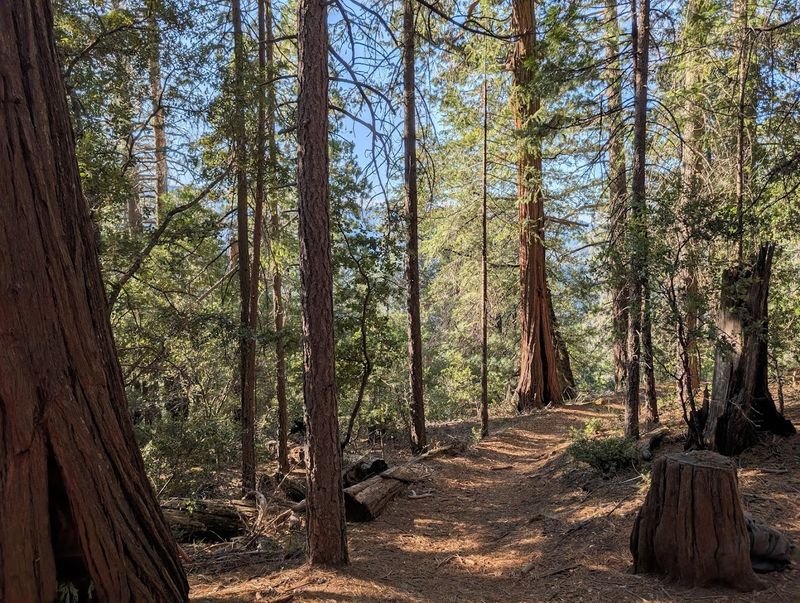 28 Miles of Trails: Something for Everyone