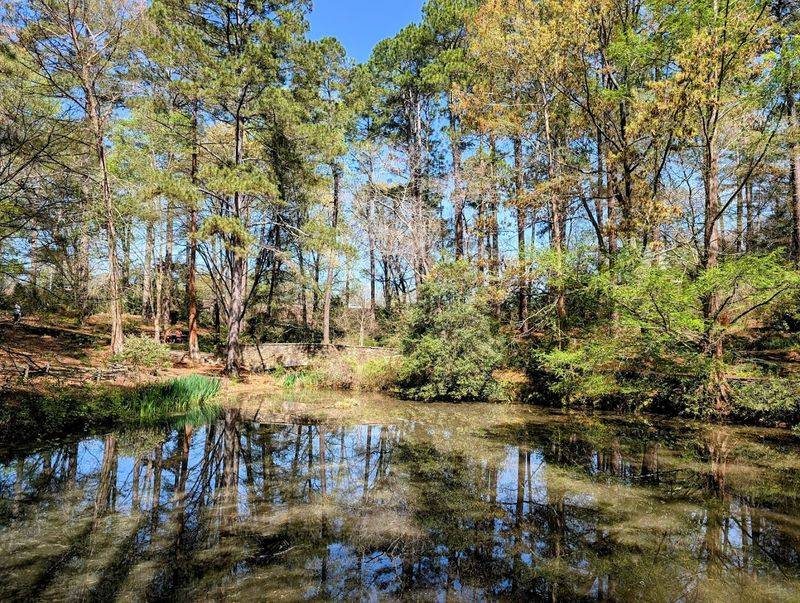 295 Acres of Pure Natural Wonder to Explore