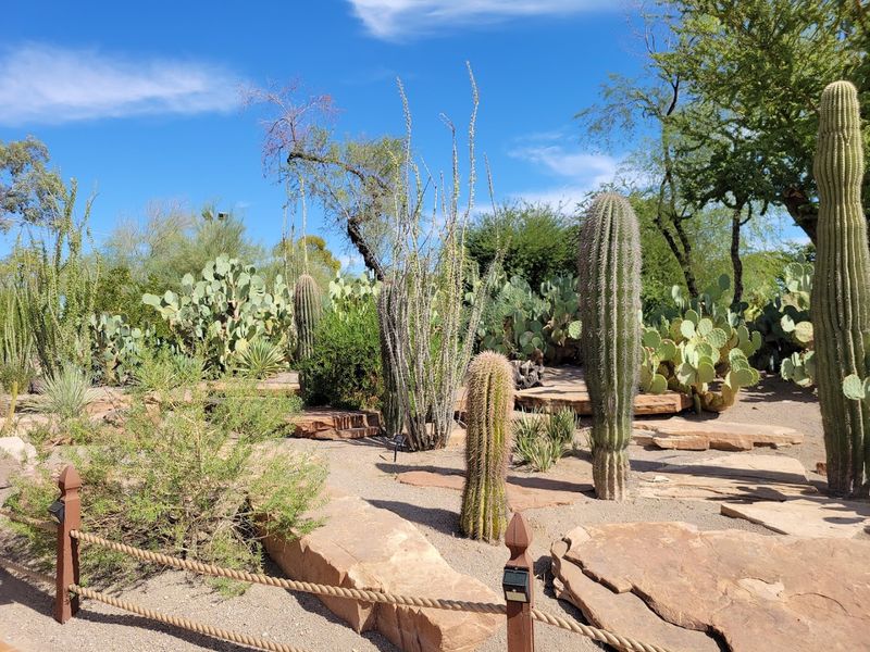 300+ Species of Cacti and Succulents