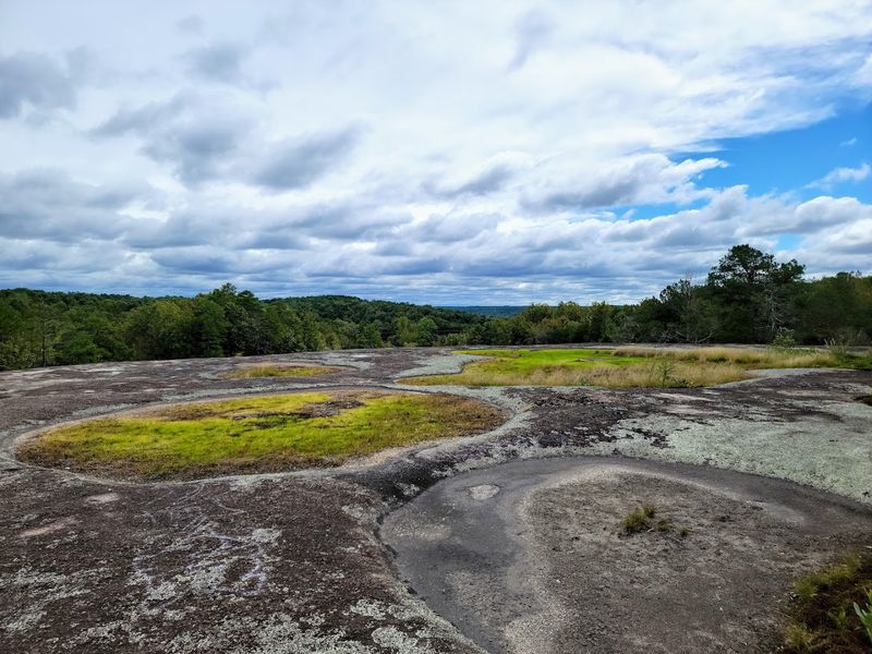 40 Acre Rock Heritage Preserve - Kershaw, South Carolina