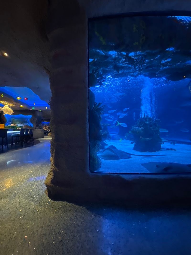 A Birthday Celebration Spot Like No Other