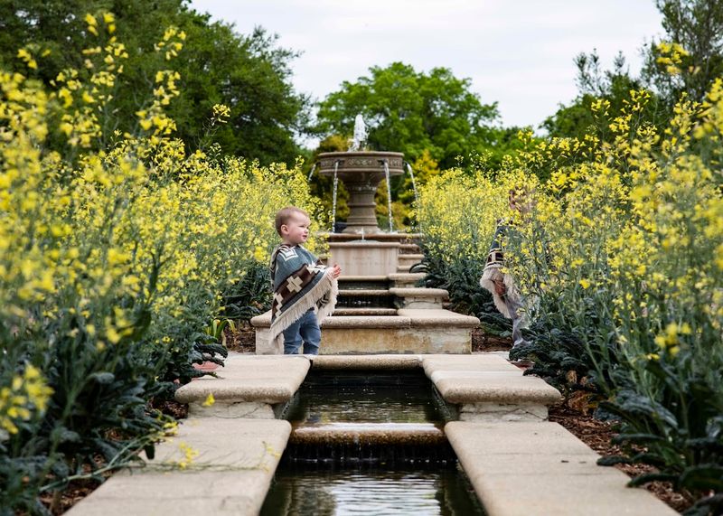 A Butterfly Garden Buzzing With Pollinators