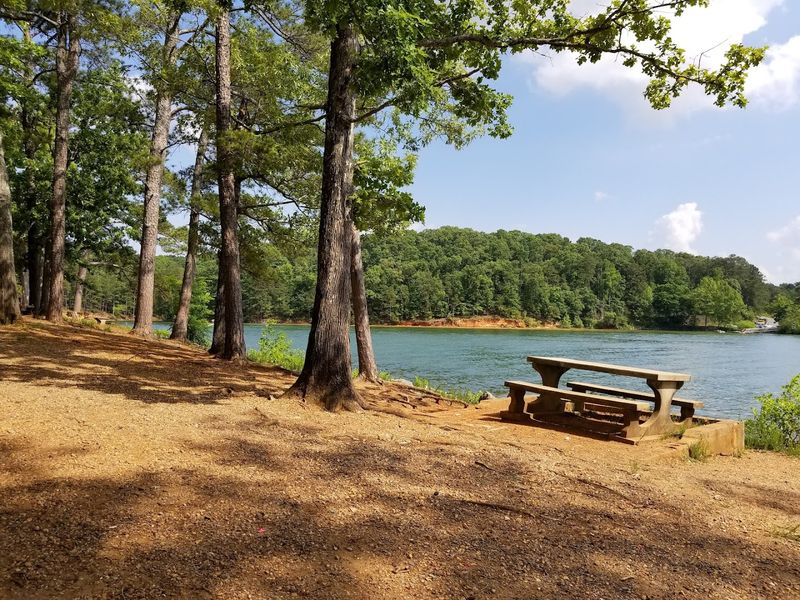 A Campground Experience That Keeps Visitors Coming Back