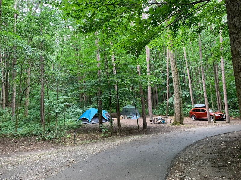 A Camping Experience That Feels Genuinely Peaceful