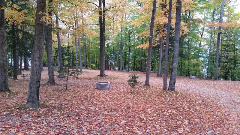 A Charming Cabin Option for Non-Tent Campers A Charming Cabin Option for Non-Tent Campers