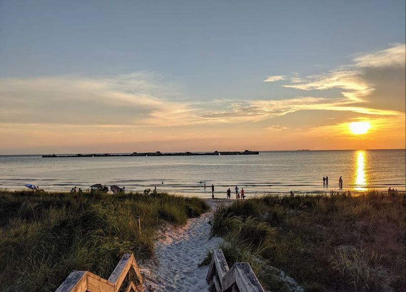 A Dog-Friendly Beach That Welcomes Four-Legged Guests