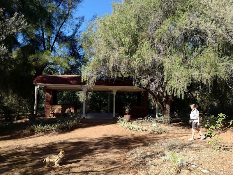 A Dog-Friendly Destination Worth Wagging About A Dog-Friendly Destination Worth Wagging About