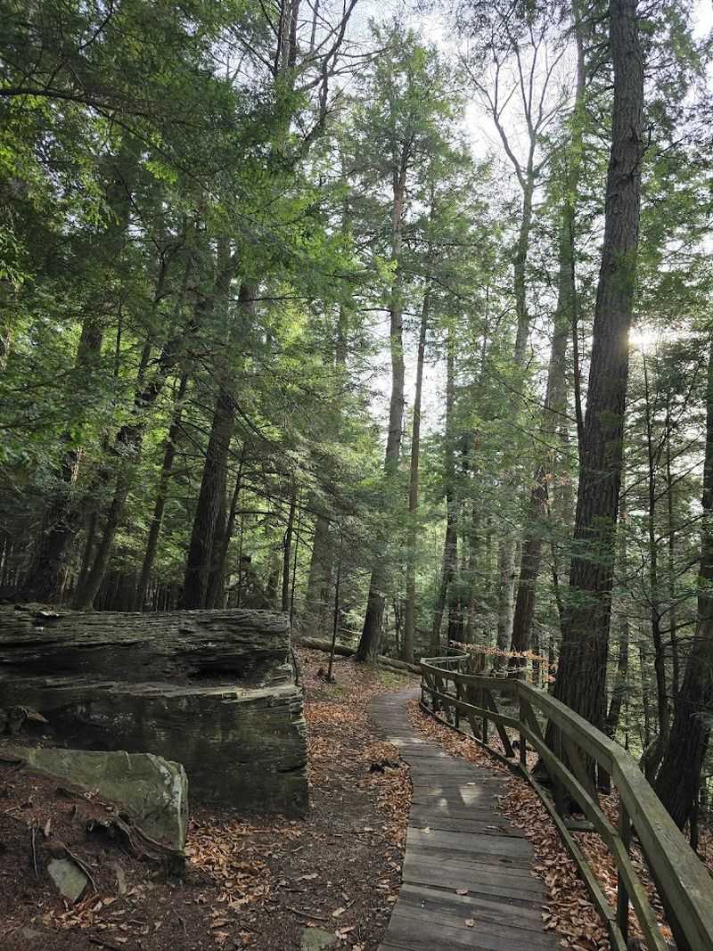A Dog-Friendly Destination Your Pup Will Absolutely Love