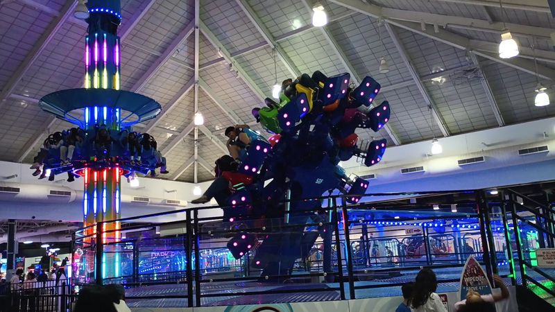 A Drop Tower and Wipeout Ride for Thrill Seekers