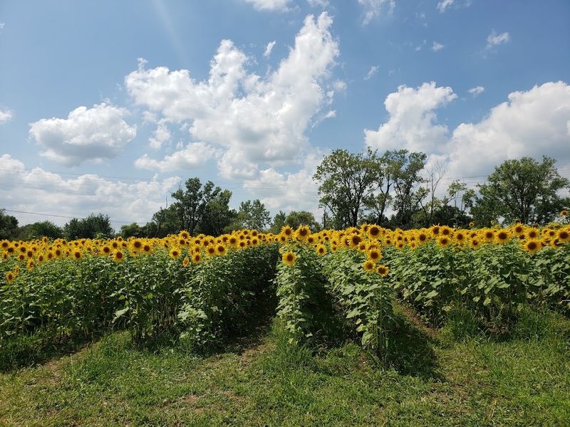 A Family-Run Farm With Heart and History A Family-Run Farm With Heart and History