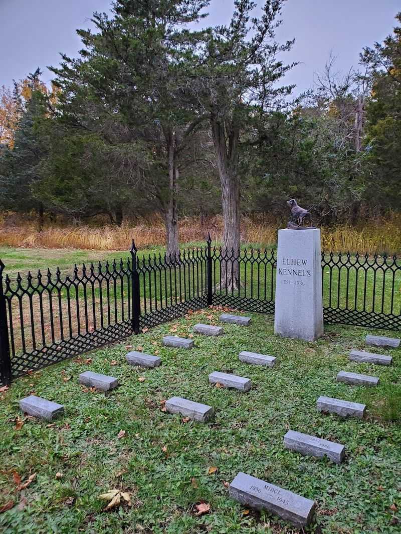 A Fascinating History Rooted in Conservation