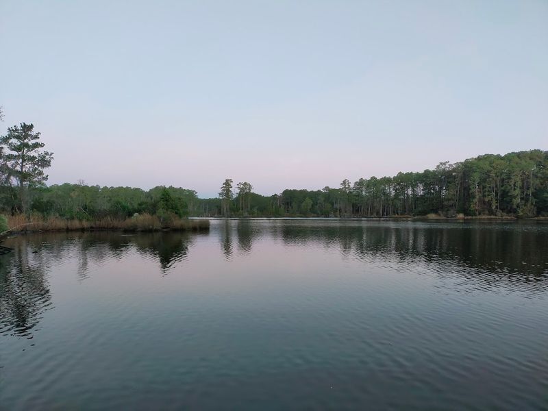 A Hidden Gem Along the Pamlico River