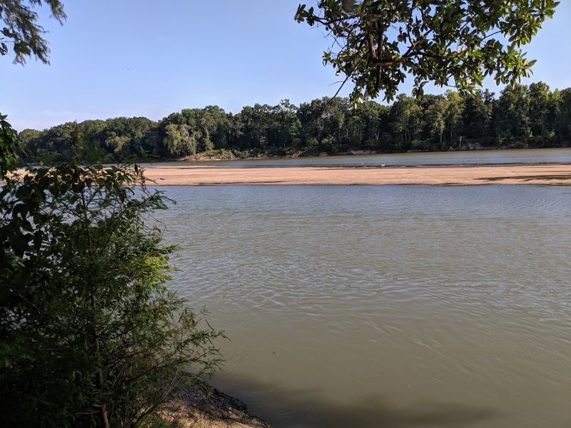 A Hidden Gem Location Along the Altamaha River A Hidden Gem Location Along the Altamaha River