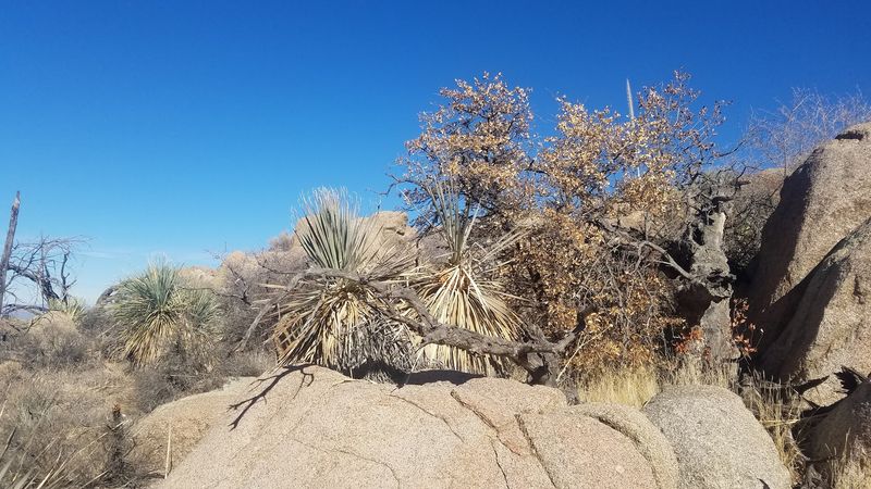 A Hidden Gem That Rewards the Curious Traveler