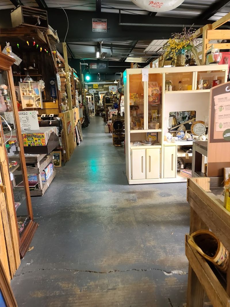 A Hidden Gem With a Loyal Following