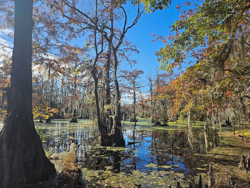 A Hidden Gem for Families and Outdoor Enthusiasts