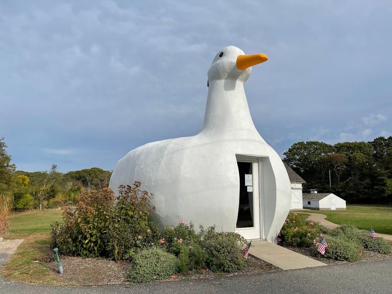 A Journey Through Its Many Moves and Homes