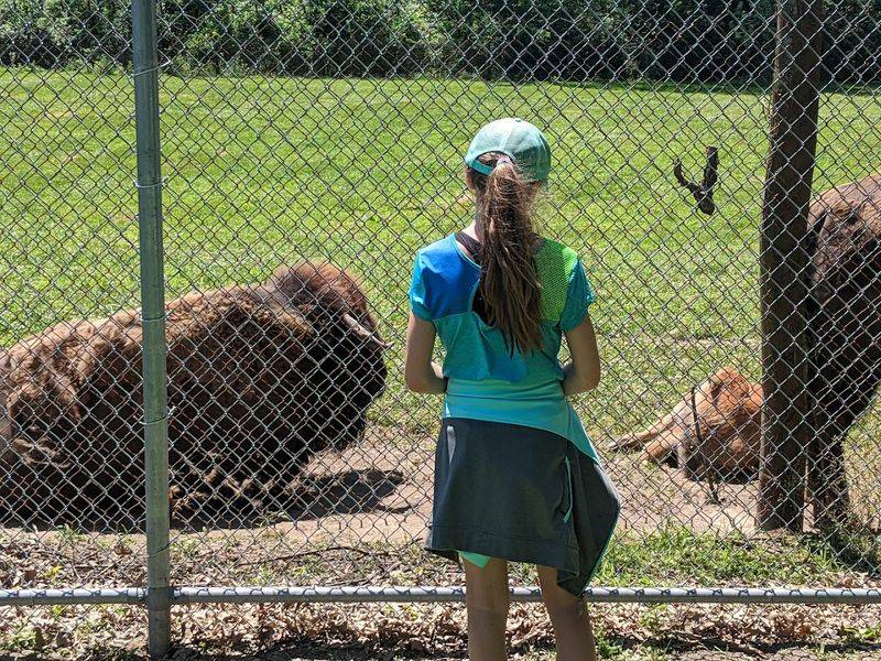 A Kid-Friendly Park With Something for Everyone
